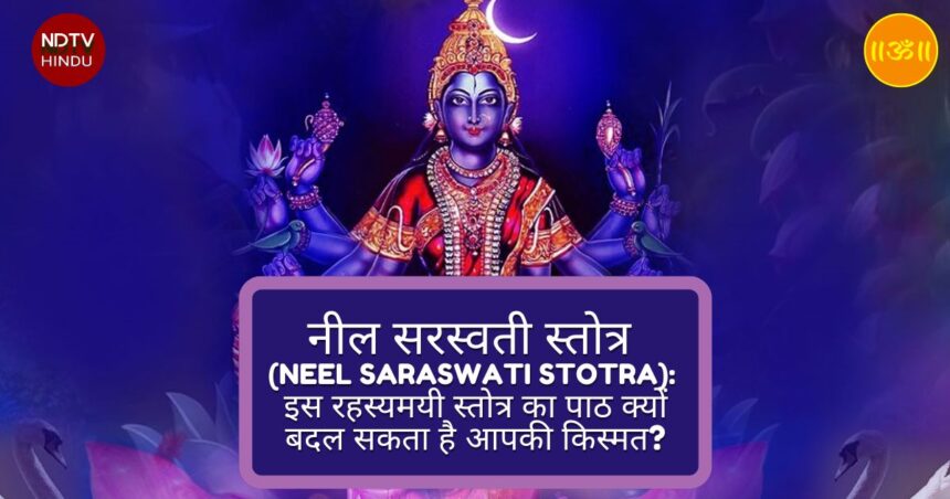 नील सरस्वती स्तोत्र (Neel Saraswati Stotra): इस रहस्यमयी स्तोत्र का पाठ क्यों बदल सकता है आपकी किस्मत?