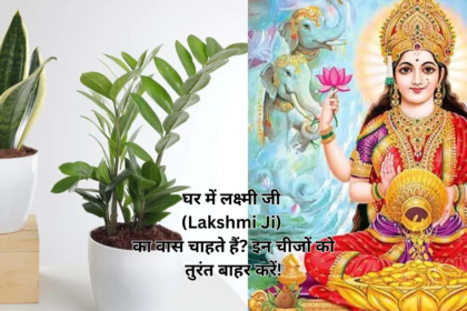 घर में लक्ष्मी जी (Lakshmi Ji) का वास चाहते हैं इन चीजों को तुरंत बाहर करें!