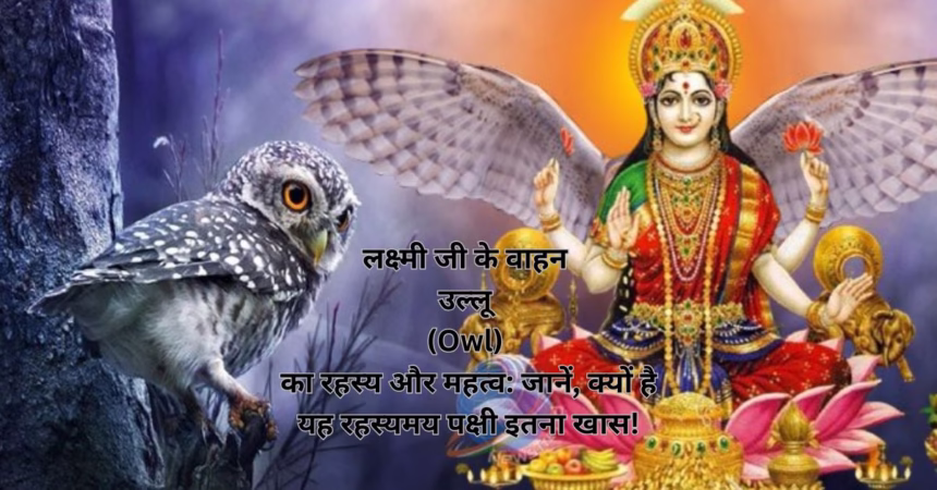 लक्ष्मी जी के वाहन उल्लू (Owl) का रहस्य और महत्व: जानें, क्यों है यह रहस्यमय पक्षी इतना खास!