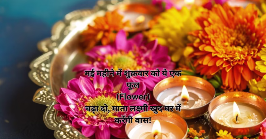 मई महीने में शुक्रवार को ये एक फूल (Flower) चढ़ा दो, माता लक्ष्मी खुद घर में करेंगी वास!