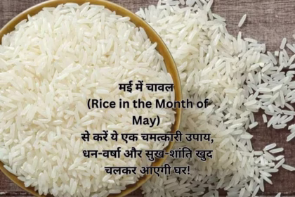 मई में चावल (Rice in the Month of May) से करें ये एक चमत्कारी उपाय, धन-वर्षा और सुख-शांति खुद चलकर आएगी घर!
