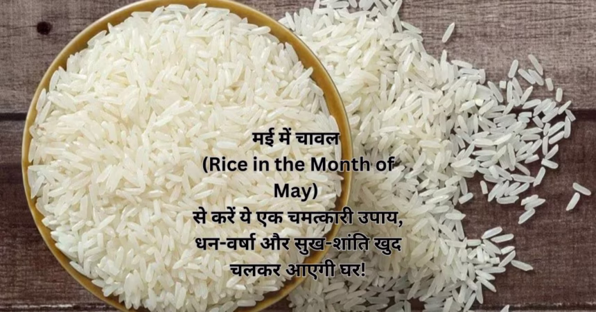 मई में चावल (Rice in the Month of May) से करें ये एक चमत्कारी उपाय, धन-वर्षा और सुख-शांति खुद चलकर आएगी घर!