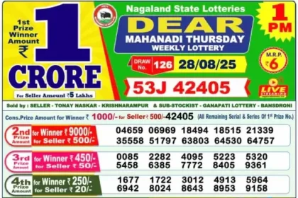 Lottery Result 1pm 2025 08 28