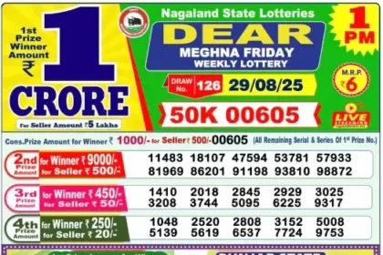 Lottery Result 1pm 2025 08 29