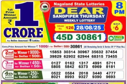 Lottery Result 8pm 2025 08 28