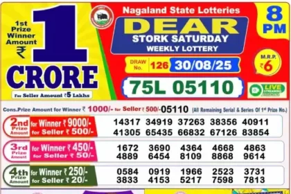 Lottery Result 8pm 2025 08 30