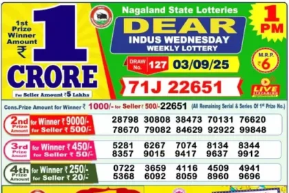 Lottery Result 1pm 2025 09 03