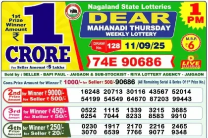 Lottery Result 1pm 2025 09 11