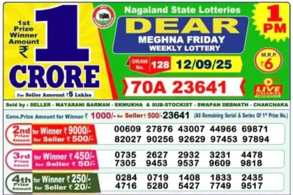 Lottery Result 1pm 2025 09 12