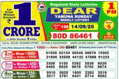 Lottery Result 1pm 2025 09 14