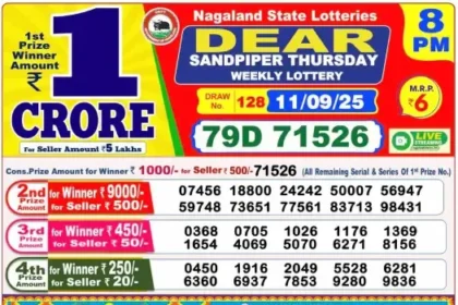 Lottery Result 8pm 2025 09 11