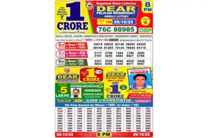 Lottery Sambad Today's Result October 29, 8 PM 2025 : Nagaland State Lottery Result