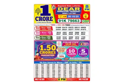 Lottery Sambad Today's Result October 30, 8 PM 2025 : Nagaland State Lottery Result