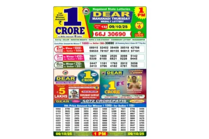 Lottery Sambad Today's Result October 9, 2025 : Nagaland State Lottery Result 1 PM