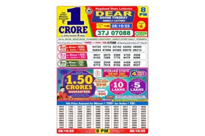 Lottery Sambad Today's Result October 28, 8 PM 2025 : Nagaland State Lottery Result