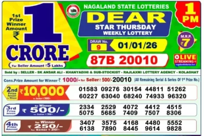 Lottery Result 1pm 2026 01 01 420x280