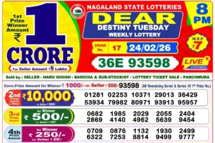 Lottery Result 8pm 2026 02 24 420x280