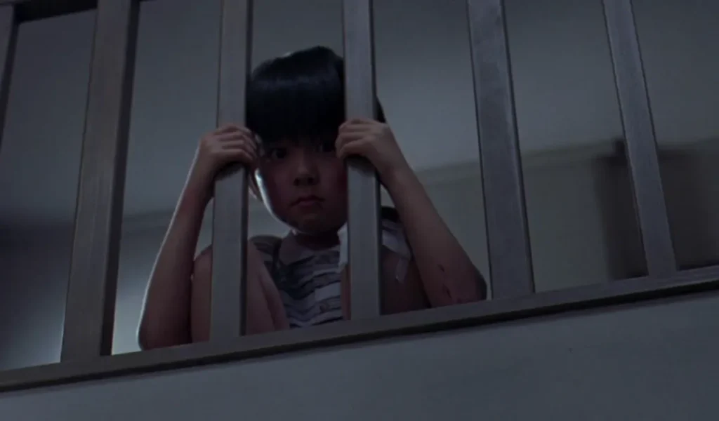 The Grudge 2004 Movie Explained & Ending Explained