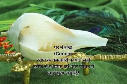 घर में शंख (Conch) रखने के चमत्कारी फायदे! सही तरीके से स्थापित करें और जीवन में लाएं सुख-समृद्धि!