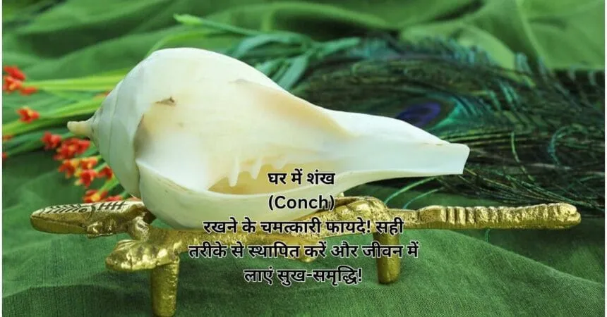 घर में शंख (Conch) रखने के चमत्कारी फायदे! सही तरीके से स्थापित करें और जीवन में लाएं सुख-समृद्धि!