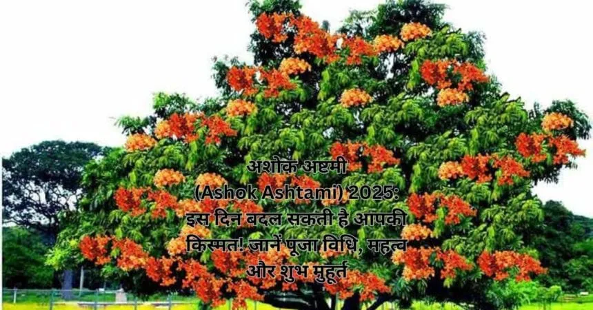 अशोक अष्टमी (Ashok Ashtami) 2025: जानिए शुभ मुहूर्त, महत्व और चमत्कारी पूजा विधि!