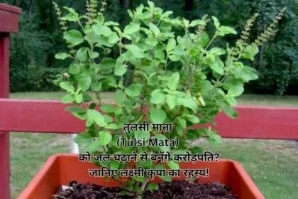 तुलसी माता (Tulsi Mata) को जल चढ़ाने से बनेंगे करोड़पति? जानिए लक्ष्मी कृपा का रहस्य!