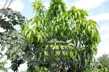नवरात्रि में पर्यावरण संरक्षण: (Environmental Conservation) जानिए कैसे पूजा के साथ बचाएं प्रकृति!