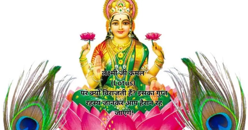 लक्ष्मी जी कमल (Lotus) पर क्यों विराजती हैं? इसका गुप्त रहस्य जानकर आप हैरान रह जाएंगे!