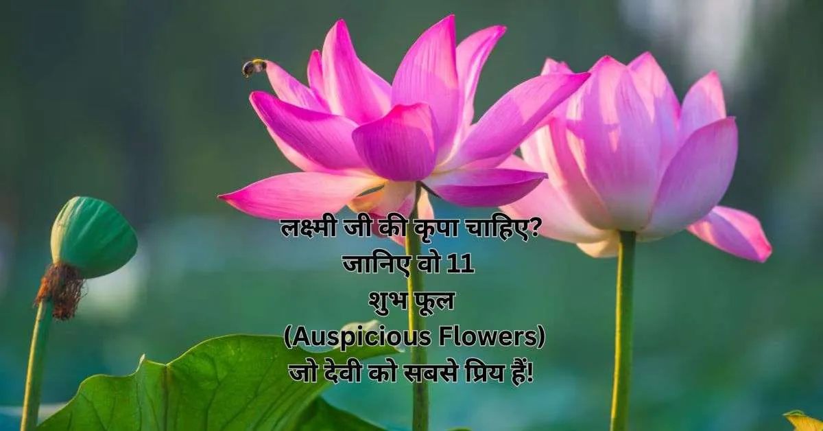 लक्ष्मी जी की कृपा चाहिए? जानिए वो 11 शुभ फूल (Auspicious Flowers) जो देवी को सबसे प्रिय हैं!